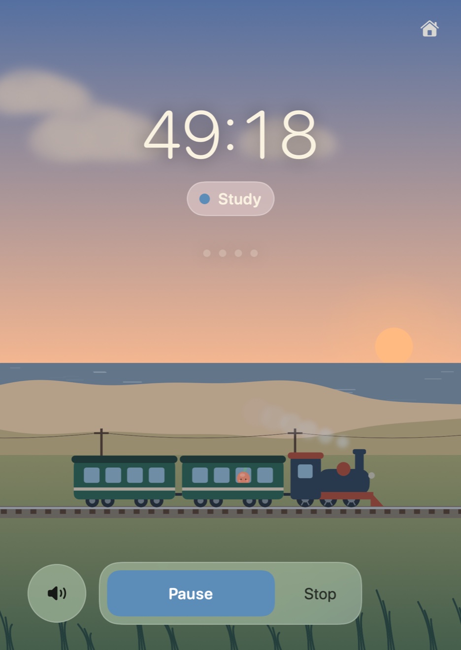 The Mac window with the train